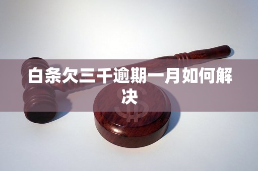 白条欠三千逾期一月如何解决