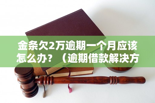 金条欠2万逾期一个月应该怎么办？（逾期借款解决方法详解）