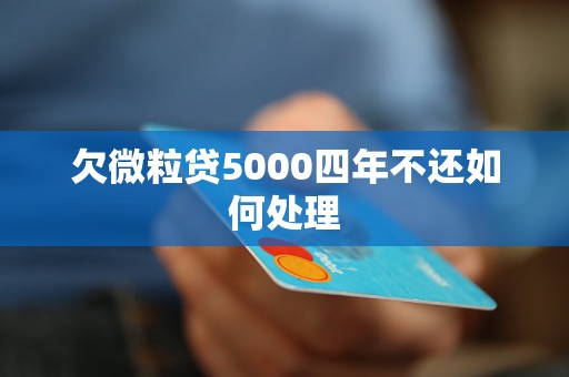 欠微粒贷5000四年不还如何处理