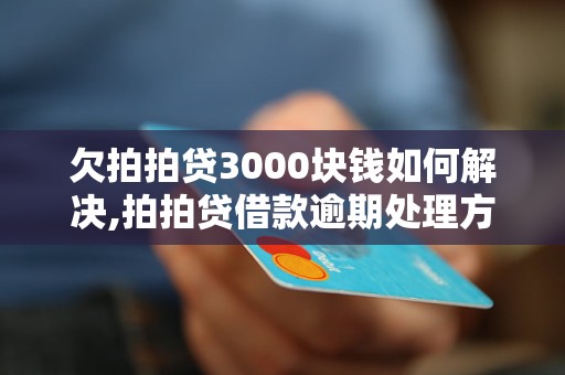 欠拍拍贷3000块钱如何解决,拍拍贷借款逾期处理方法