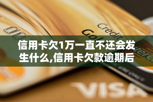 信用卡欠1万一直不还会发生什么,信用卡欠款逾期后果及处理方法