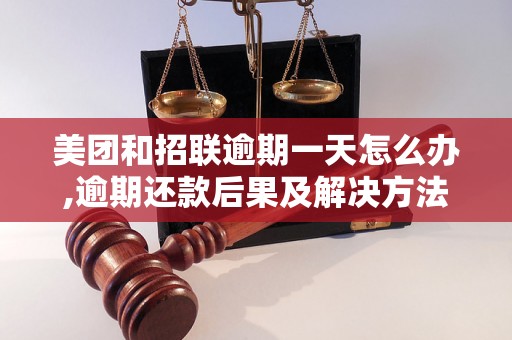 美团和招联逾期一天怎么办,逾期还款后果及解决方法