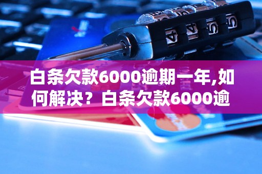 白条欠款6000逾期一年,如何解决？白条欠款6000逾期一年怎么办？