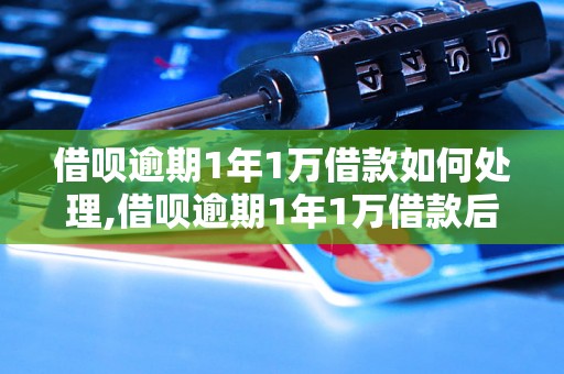 借呗逾期1年1万借款如何处理,借呗逾期1年1万借款后果