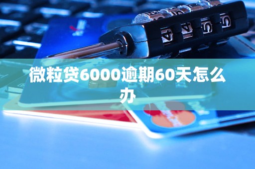 微粒贷6000逾期60天怎么办