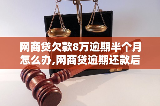 网商贷欠款8万逾期半个月怎么办,网商贷逾期还款后果及解决方案