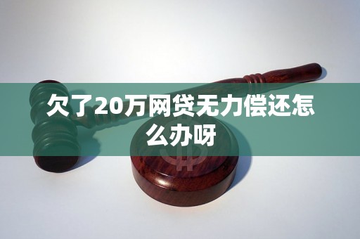 欠了20万网贷无力偿还怎么办呀