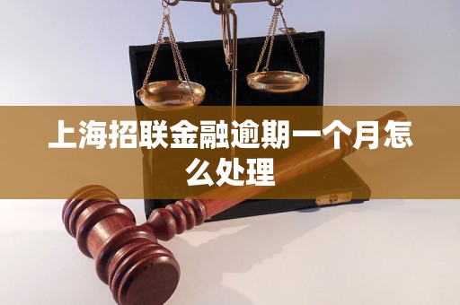 上海招联金融逾期一个月怎么处理