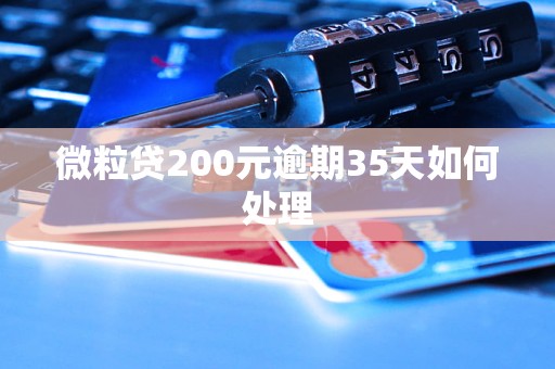 微粒贷200元逾期35天如何处理