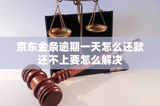 京东金条逾期一天怎么还款还不上要怎么解决