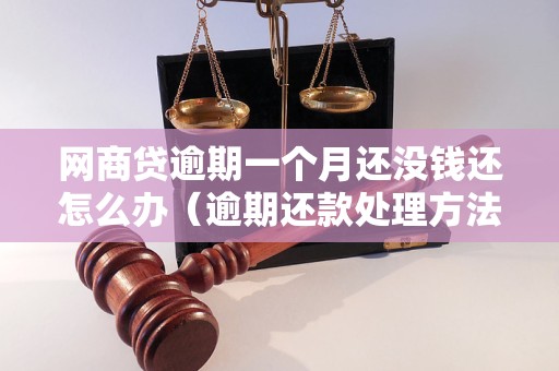 网商贷逾期一个月还没钱还怎么办（逾期还款处理方法与建议）