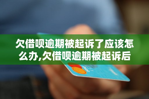 欠借呗逾期被起诉了应该怎么办,欠借呗逾期被起诉后的解决方法