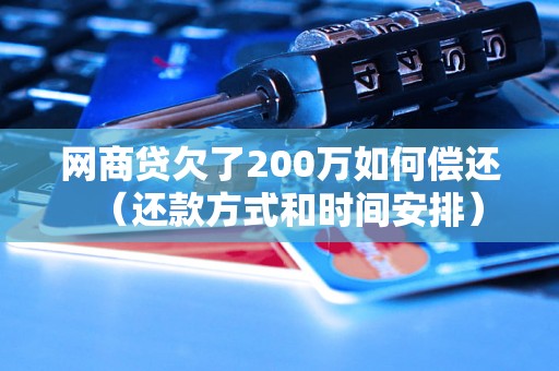 网商贷欠了200万如何偿还（还款方式和时间安排）