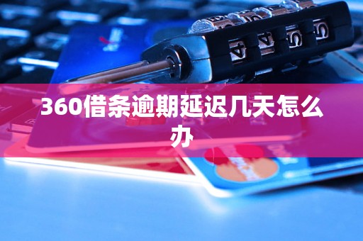 360借条逾期延迟几天怎么办