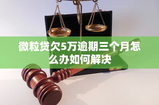 微粒贷欠5万逾期三个月怎么办如何解决