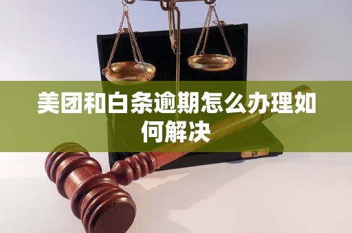 美团和白条逾期怎么办理如何解决