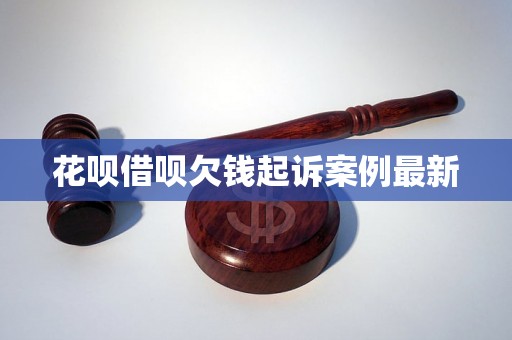 花呗借呗欠钱起诉案例最新