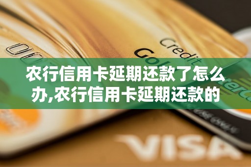 农行信用卡延期还款了怎么办,农行信用卡延期还款的处理方法