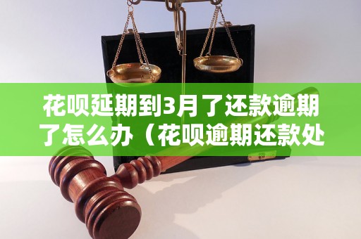 花呗延期到3月了还款逾期了怎么办（花呗逾期还款处理方法）