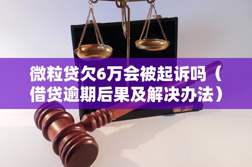 微粒贷欠6万会被起诉吗（借贷逾期后果及解决办法）