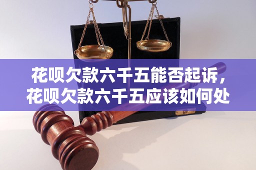 花呗欠款六千五能否起诉，花呗欠款六千五应该如何处理