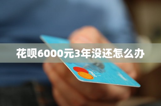 花呗6000元3年没还怎么办