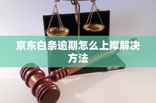 京东白条逾期怎么上岸解决方法