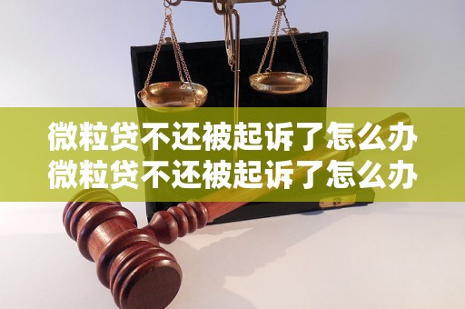 微粒贷不还被起诉了怎么办微粒贷不还被起诉了怎么办