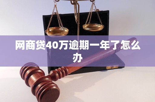 网商贷40万逾期一年了怎么办