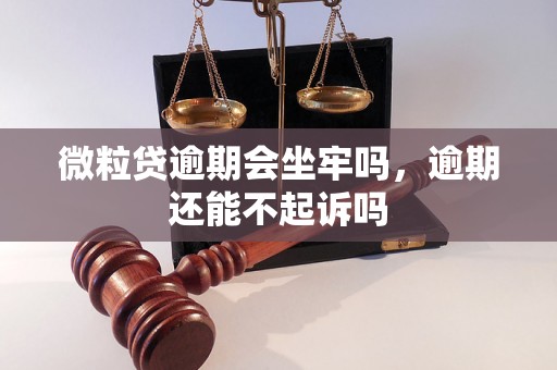 微粒贷逾期会坐牢吗，逾期还能不起诉吗