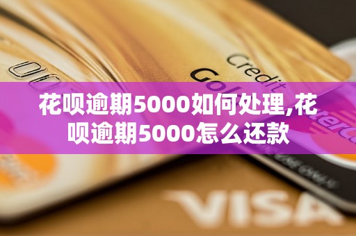 花呗逾期5000如何处理,花呗逾期5000怎么还款