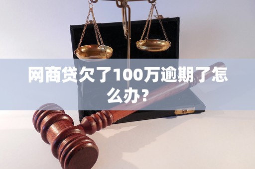 网商贷欠了100万逾期了怎么办？