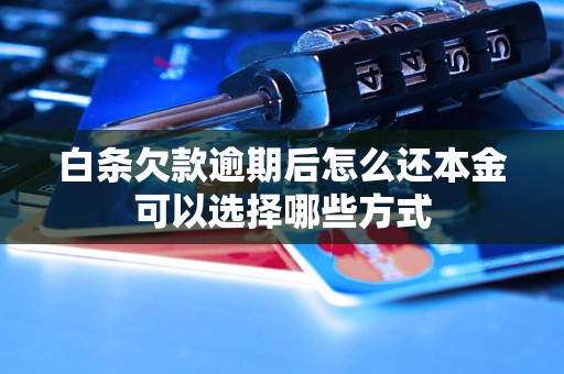 白条欠款逾期后怎么还本金可以选择哪些方式