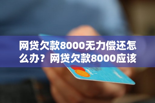 网贷欠款8000无力偿还怎么办？网贷欠款8000应该如何处理？