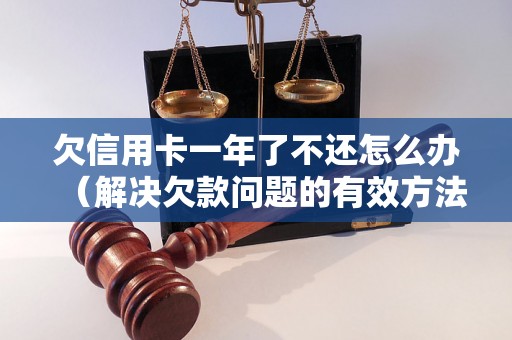 欠信用卡一年了不还怎么办（解决欠款问题的有效方法）