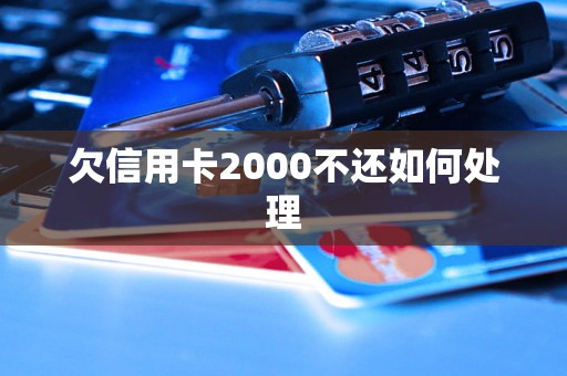 欠信用卡2000不还如何处理