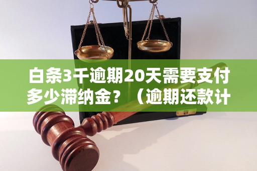 白条3千逾期20天需要支付多少滞纳金？（逾期还款计算方法详解）