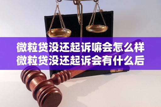 微粒贷没还起诉嘛会怎么样微粒贷没还起诉会有什么后果