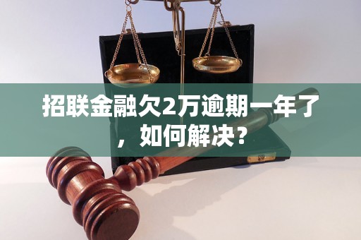 招联金融欠2万逾期一年了，如何解决？