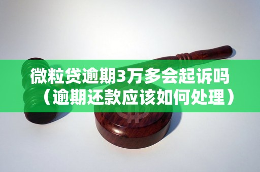 微粒贷逾期3万多会起诉吗（逾期还款应该如何处理）