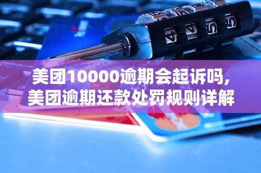 美团10000逾期会起诉吗,美团逾期还款处罚规则详解