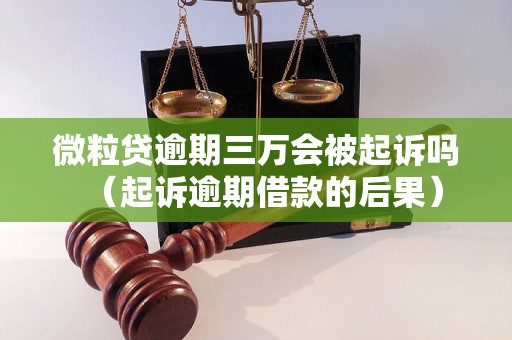 微粒贷逾期三万会被起诉吗（起诉逾期借款的后果）