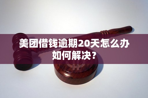 美团借钱逾期20天怎么办如何解决？