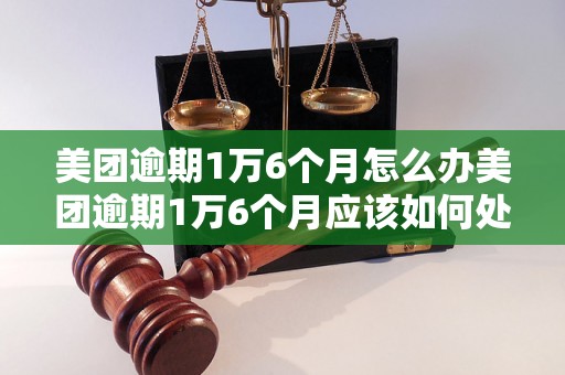 美团逾期1万6个月怎么办美团逾期1万6个月应该如何处理