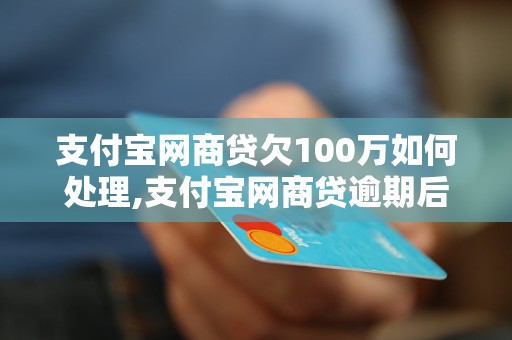 支付宝网商贷欠100万如何处理,支付宝网商贷逾期后果