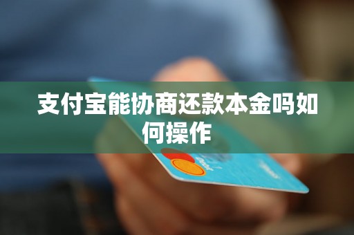 支付宝能协商还款本金吗如何操作