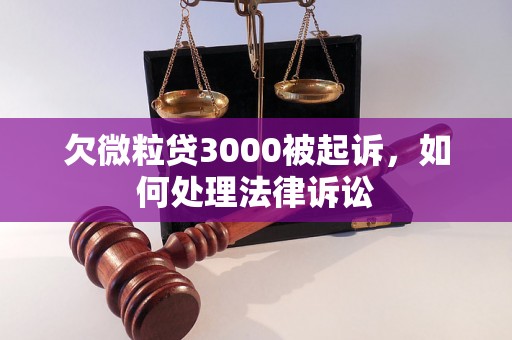 欠微粒贷3000被起诉，如何处理法律诉讼