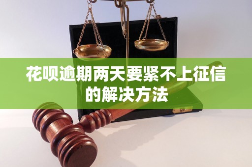 花呗逾期两天要紧不上征信的解决方法