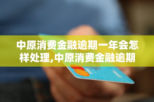 中原消费金融逾期一年会怎样处理,中原消费金融逾期一年后果严重吗