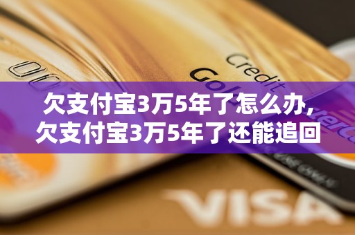 欠支付宝3万5年了怎么办,欠支付宝3万5年了还能追回吗